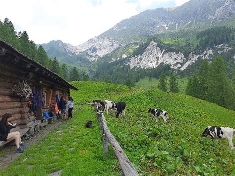 Vista panoramica dal sentiero verso Malga Maggiasone