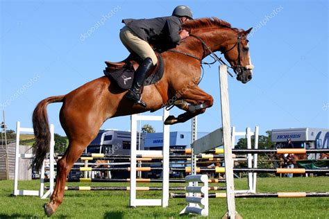 Cavalli e cavalieri durante una competizione di salto ostacoli al Dublin Horse Show