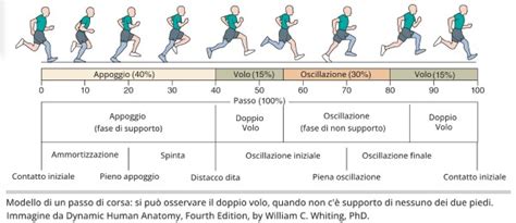 Schema che illustra i movimenti del passo alternato nella tecnica classica
