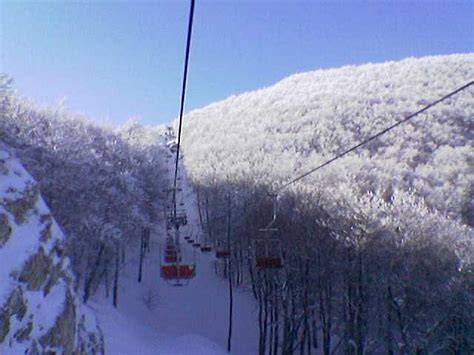 Panorama invernale della pista sciistica di Monte Capraro a Capracotta con boschi di faggio