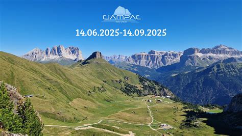 Percorso escursionistico che attraversa un lariceto con vista sulle montagne circostanti