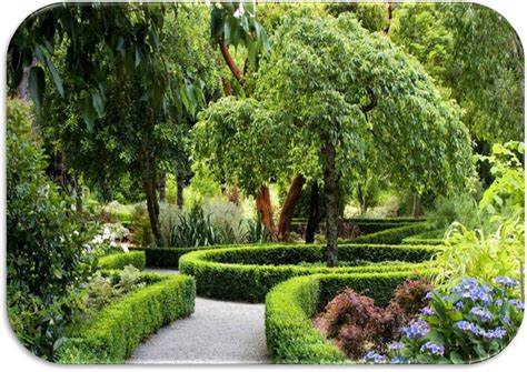 Dettaglio del Giardino degli Specchi con riflessi artistici tra gli alberi