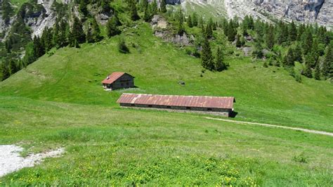 Vista panoramica della seggiovia Frassenè-Malga Losch in funzione