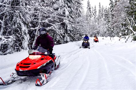 Motoslitta che attraversa un bosco innevato