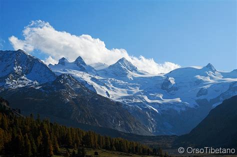 Vista delle creste del Piz Roseg e delle cime circostanti