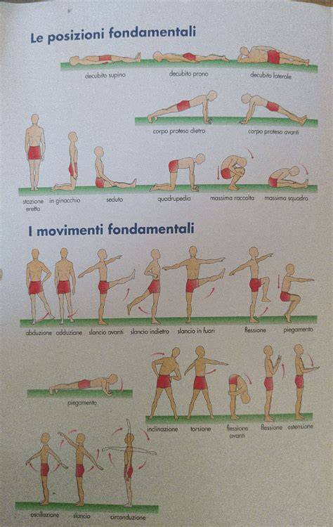 Schema illustrativo dei movimenti base per curvare in snowboard: spostamento del peso sui talloni e sulle punte.