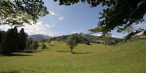 Panorama estivo di Folgaria con prati verdi e montagne sullo sfondo