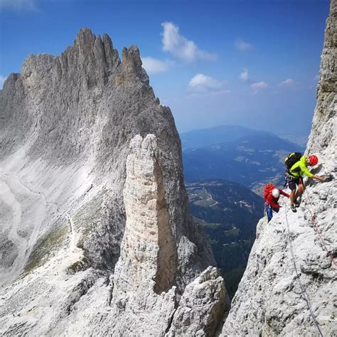 Guida alpina che mostra una pianta a un gruppo di escursionisti
