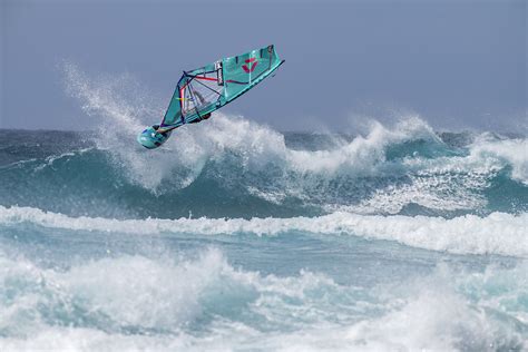Grafica che illustra le diverse discipline del windsurf: freestyle, regate, wave riding, slalom.