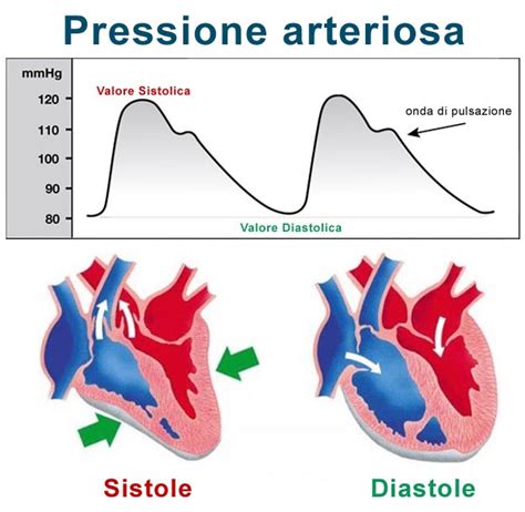Grafico che illustra l'aumento della pressione arteriosa con l'aumentare dell'altitudine.