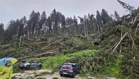 vista aerea di Sappada con alberi abbattuti a causa del maltempo