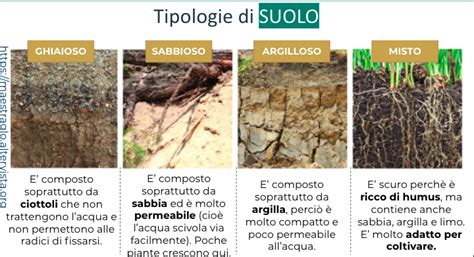 Schema che illustra i diversi tipi di terreno e le condizioni di luce incontrate nello scialpinismo