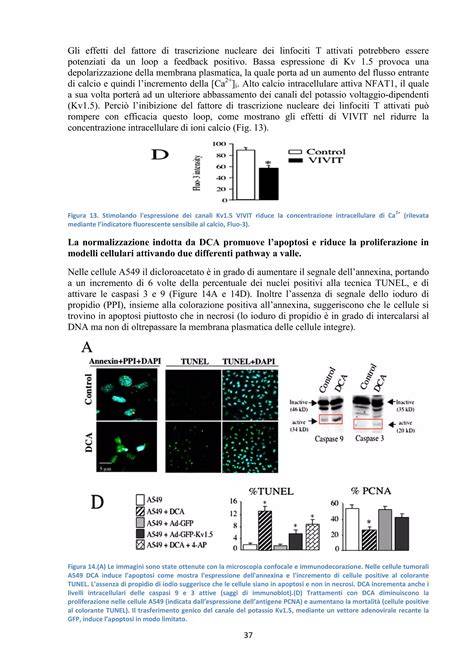 Citofluorimetria che mostra l'espressione dei marcatori cellulari