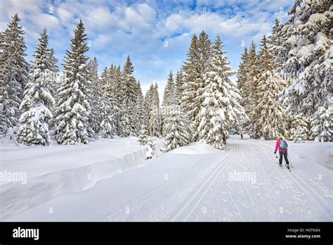 Paesaggio invernale con piste da sci di fondo a Selvarotonda (Cittaducale)