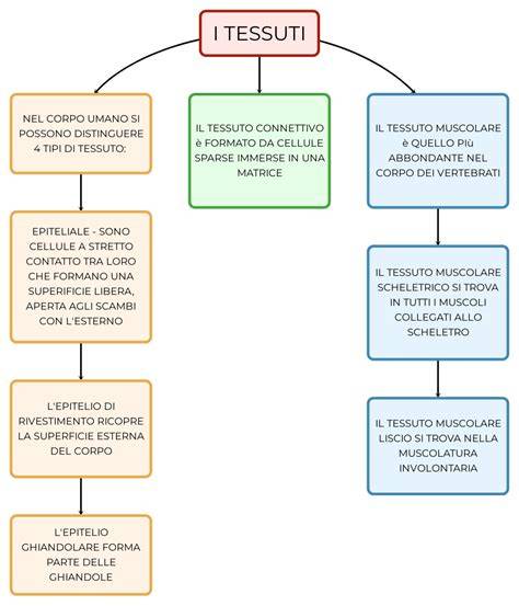 Schema comparativo delle strutture a 2, 2.5 e 3 strati dei tessuti per abbigliamento tecnico da sci.