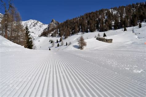 Schema delle piste di Lagdei-Lago Santo con indicazione delle difficoltà e lunghezza totale