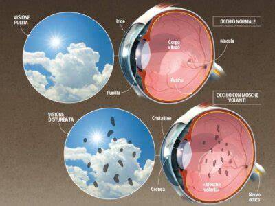 Illustrazione che mostra diverse forme di