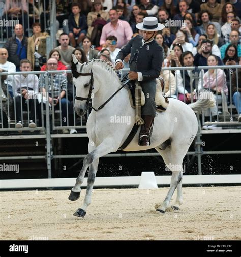 Immagine di un cavallo e cavaliere durante una gara di concorso completo, con enfasi sulla partenza dal box.