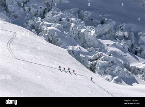 Sciatori che percorrono la pista della Marcialonga in un paesaggio innevato