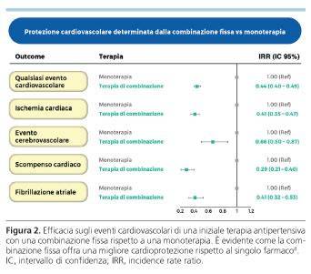 Grafico che illustra l'efficacia della terapia combinata Paclitaxel-Trastuzumab