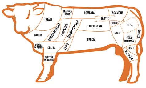 Schema dei tagli anatomici del bovino utilizzati per la produzione di bresaola e slinzega