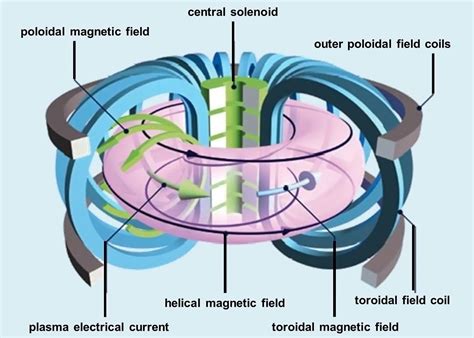 Illustrazione della struttura toroidale di un Tokamak e del funzionamento del divertore