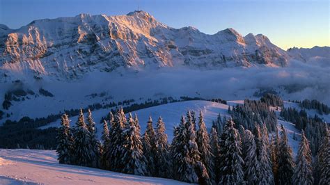 Copertina di una guida di scialpinismo con paesaggi montani innevati