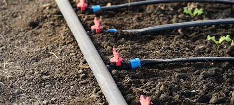 Varietà di accessori per l'installazione di impianti di irrigazione a goccia