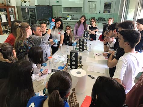 Immagine di famiglie che partecipano a un laboratorio all'aperto in montagna