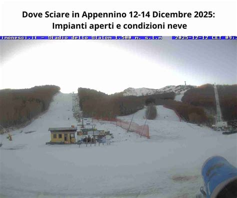 Grafico che mostra l'andamento delle altezze della neve e degli impianti aperti