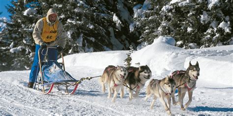 bambino che prova lo sleddog