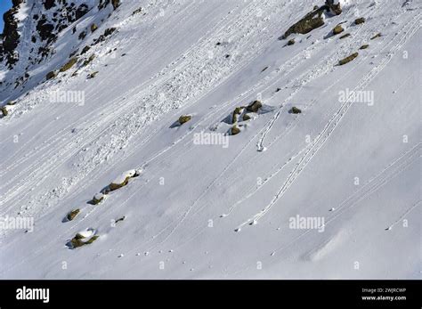 Dettaglio di una traccia sciistica su un pendio innevato, con montagne sullo sfondo.