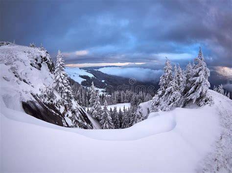 Paesaggio invernale alpino con alberi coperti di neve e montagne sullo sfondo