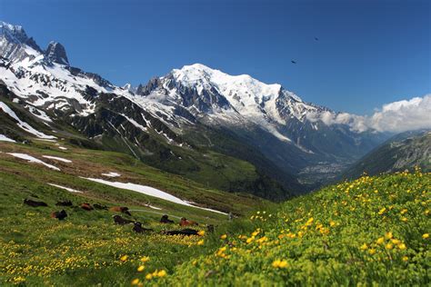 Paesaggio montano della Val d'Aosta con vista sul Monte Bianco