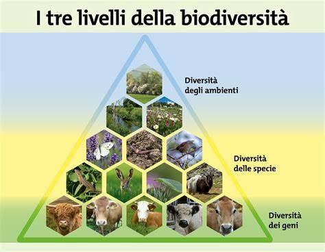 Infografica che illustra i diversi tipi di responsabilità nel contesto sciistico (gestore, sciatore, produttore)