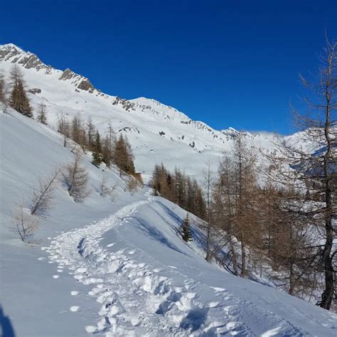 Panorama invernale delle Centovalli con sentiero per ciaspole