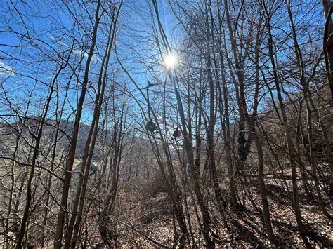 Rovine del vecchio skilift di Rovere con vegetazione circostante