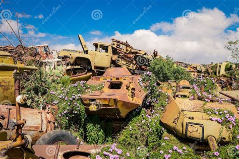 Cimitero di automezzi abbandonati in un campo canadese
