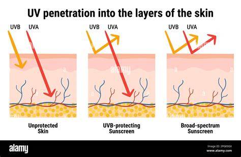 infografica che mostra l'aumento dell'intensità dei raggi UV con l'altitudine e la percentuale di riflessione della luce da parte della neve