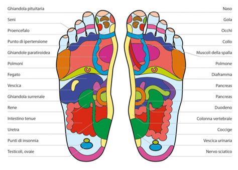 Illustrazione delle zone del corpo più vulnerabili durante le cadute in snowboard: polsi, ginocchia e coccige