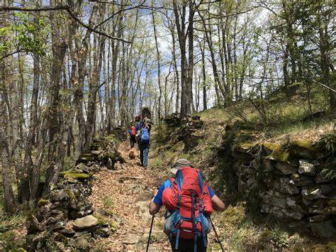 Ciclista su un sentiero sterrato panoramico in montagna