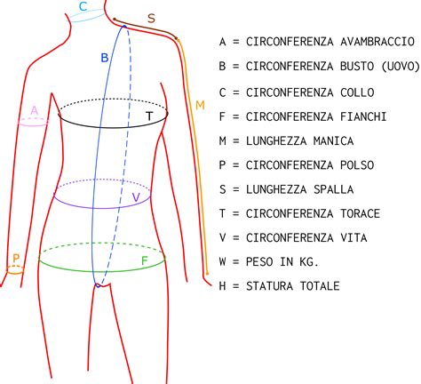 Schema corporeo con indicazione dei punti di misurazione per torace, fianchi e altezza.