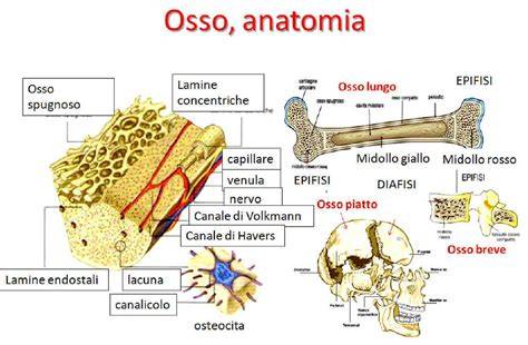 Schema che illustra la struttura a strati di un guanto da ciclismo Ziener, evidenziando il laminato Aquashield e la traspirabilità