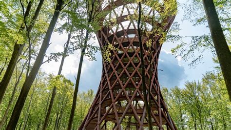 Torre panoramica sul monte Špičák con vista sulla foresta circostante.