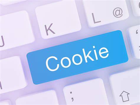 Illustrazione grafica del funzionamento dei cookie sul browser di un utente.