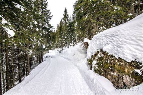 Coppia che cammina con le ciaspole su un sentiero innevato nel bosco.