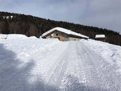 Percorso per ciaspole che attraversa un prato innevato a Gressoney-La-Trinité con abeti sullo sfondo
