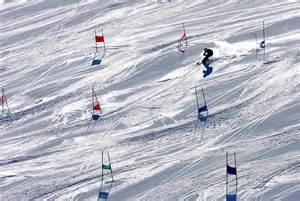 Grafica che illustra le differenze tra Slalom Speciale, Slalom Gigante e Super-G