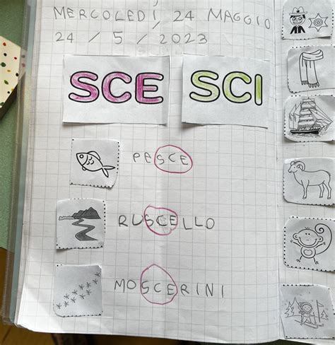 Schematizzazione dei suoni SCI e SCE