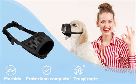 Illustrazione di un cane con museruola e guinzaglio pronto per salire sulla funivia